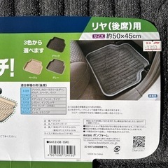 車マット　ステンガードの画像