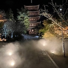 最終値下げ　京都仁和寺　雲海ライトアップと特別拝観券の画像