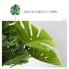 39【年末大セール】新品 モンステラ 50㎝ 人工観葉植物 インテリア フェイクグリーンの画像