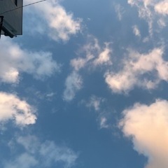 平日休みの人(ﾟ∀ﾟ)ﾉ '