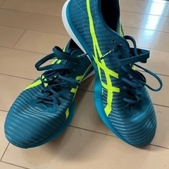 アシックス メタスピードLD 24.5