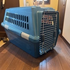 フラーリ350 犬用クレートの画像