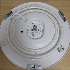 電気 NEC 昼光色 画像1台カバー付き