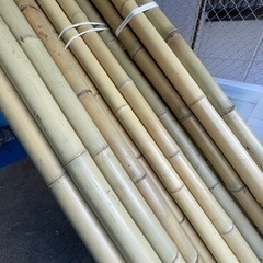 白竹60ﾊﾟｲ 4メートル 1本 2,500円 45本あります