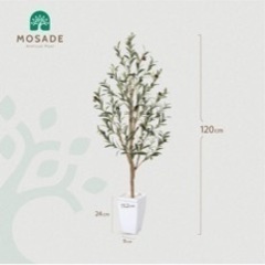  取りに来てくれる方のみ！人工観葉植物 フェイク オリーブの画像