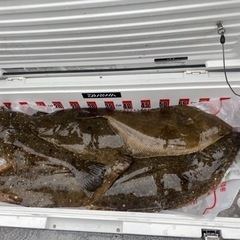 船釣り行きませんか？