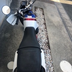 ホンダ　HONDA FTR223  実動【希少　ノーマル車】の画像