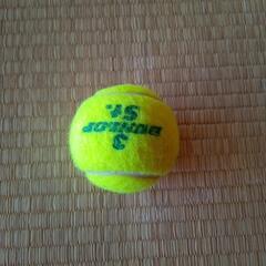 公式テニスボールです～よ。( =＾ω＾)の画像