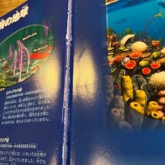 図鑑　2冊セットの画像