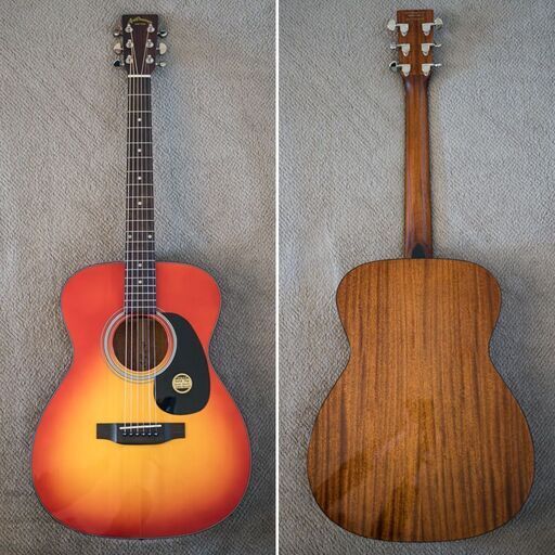 ☆Aria Dreadnought AF-280 単板トップ RITTERギグバッグ