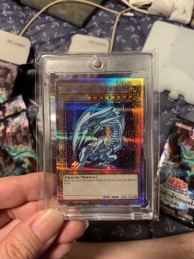 ＢＬＵＥ　ＥＹＥＳ　ＷＨＩＴＥ　ＤＲＡＧＯＮ