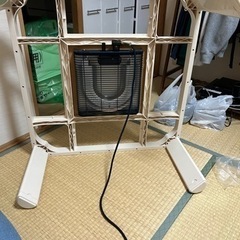 こたつ　(決まりました)