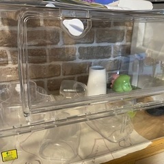 ルーミィ60 ハムスター飼育セット