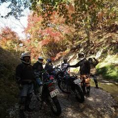 オフロードバイクで林道ツーリング!ＧＴＲoff部（GoＴo Rindow!初級〜中級）! - メンバー募集