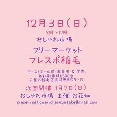 12/03(日) フレスポ稲毛 フリマ 出店(植物：アガベ、ビカ...