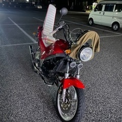 vtz250 