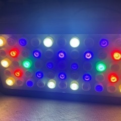 海水魚用LEDライト吊り下げ式の画像