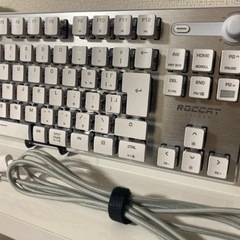「値下げ‼︎」ROCCAT テンキーレスゲーミングキーボード　15,000円の画像