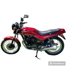 HONDA  CBX250RS  不動