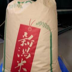 きぬむすめ　30キロ玄米   ②