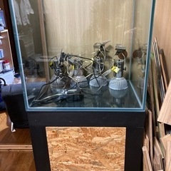 水槽セット