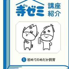 かさでらBorn祭（ぼーんさい）寺ゼミ「1 初めてのめだか飼育 ...