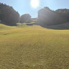 ⛳️空きあるのでラウンドメンバー募集⛳️