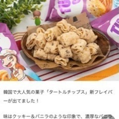 コストコ　タートルチップス　バニラ