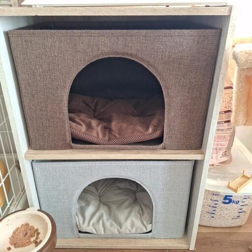 猫寝床