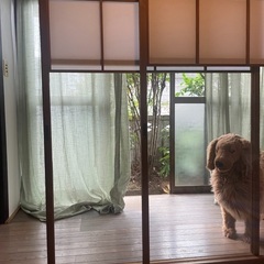 富士山がみえる！お部屋を貸します！ − 山梨県