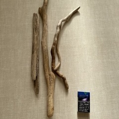 流木の画像
