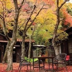 朝活タキビネコ一緒に行きませんか？ - 友達