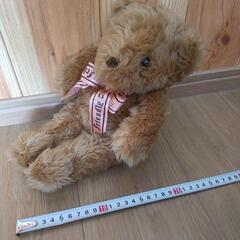 くまのぬいぐるみの画像