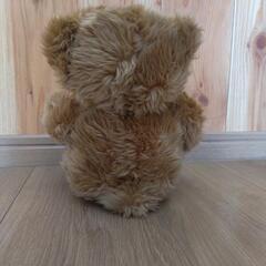くまのぬいぐるみの画像