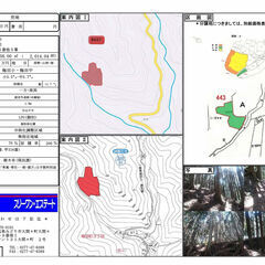 【売地・８９３７・山林売買】桐生市梅田町３丁目字鍋足３１５番他５筆