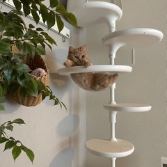 OFT ホワイトポール　キャットタワー
