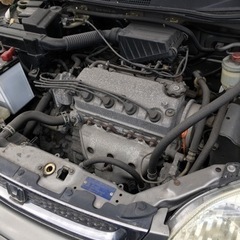 ホンダロゴTS  低走行　美車　の画像