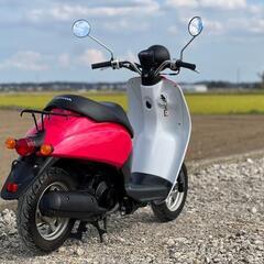 茨城県から ホンダ TODAY AF61 50cc 原付 外装新品 サイドスタンド付きの画像