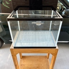 60cmワイド水槽　大阪府茨木市引取り限定 60ワイド水槽 4点セット