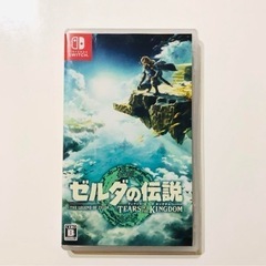 ゼルダの伝説 ティアーズ オブ ザ キングダム