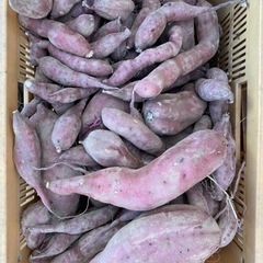 さつまいも　紅あずま　1kg  ~