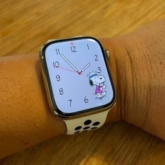 アップルウォッチ 42mm/44mm/45mm/49mm シリコ...