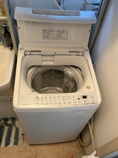 家電 生活家電 洗濯機