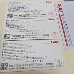 ガルフ　ビジターチケット(取引中)の画像