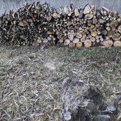 薪　キャンプ　引き取り限定の画像