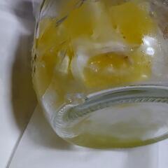 奥様　ご希望用品　無料