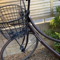 26インチ　オートライトの画像