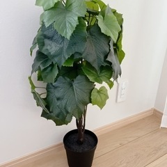 偽物の植物の画像