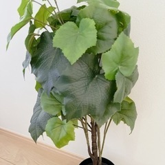 偽物の植物の画像