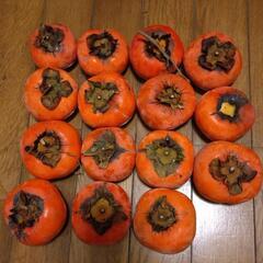 柿15個！！の画像